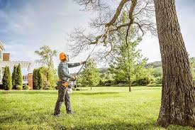 Best Lawn Pest Prevention  in Rutgers University Busch Campus, NJ